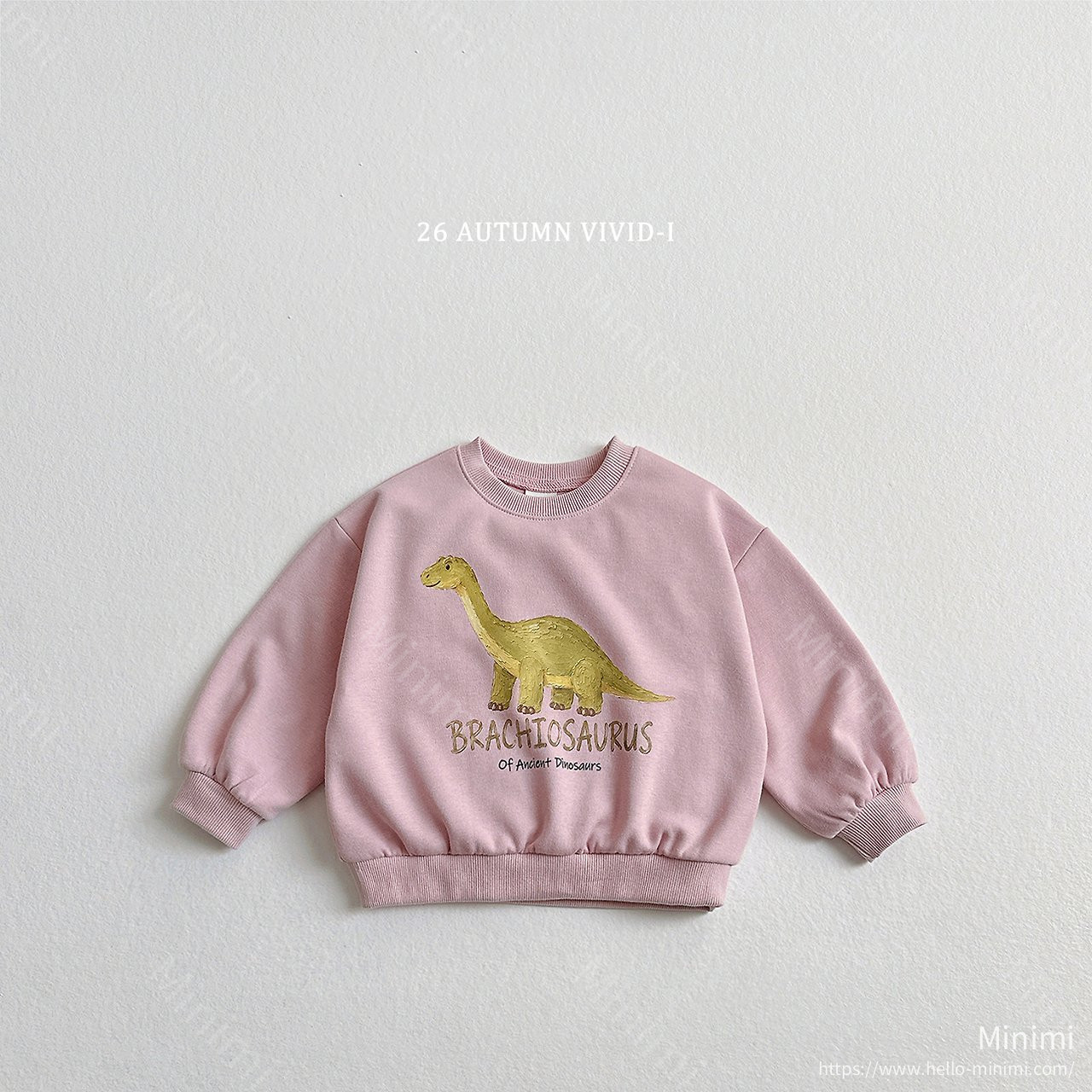 VIVID-I Painting Dino Sweatshirt 細節圖 4