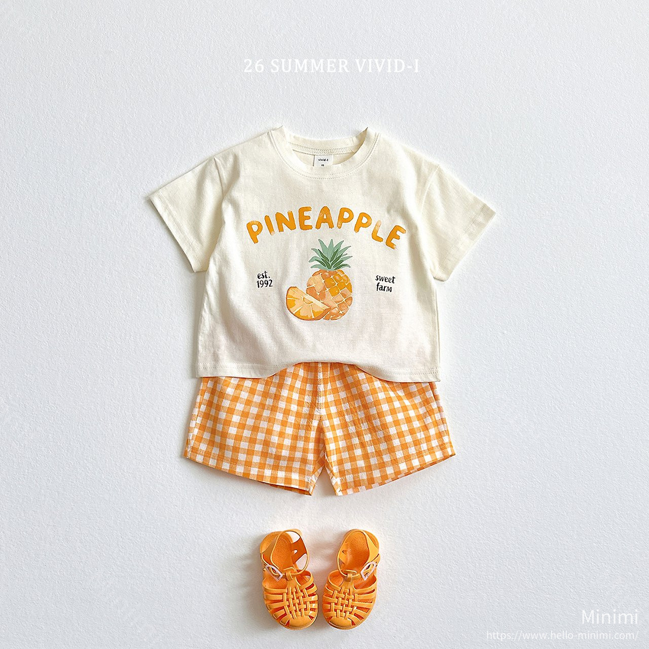 VIVID-I Check Fruit Set 細節圖 2