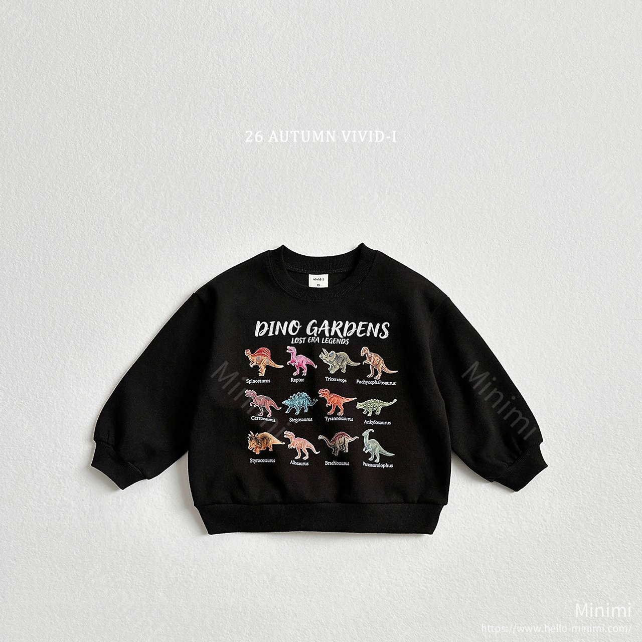 VIVID-I Dino Park Sweatshirt 細節圖 4