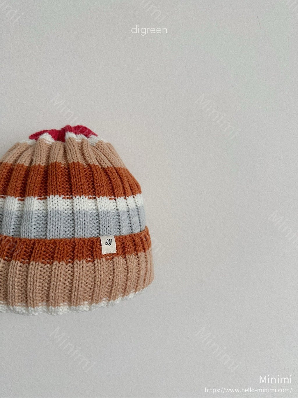 digreen Multi Beanie 細節圖 4