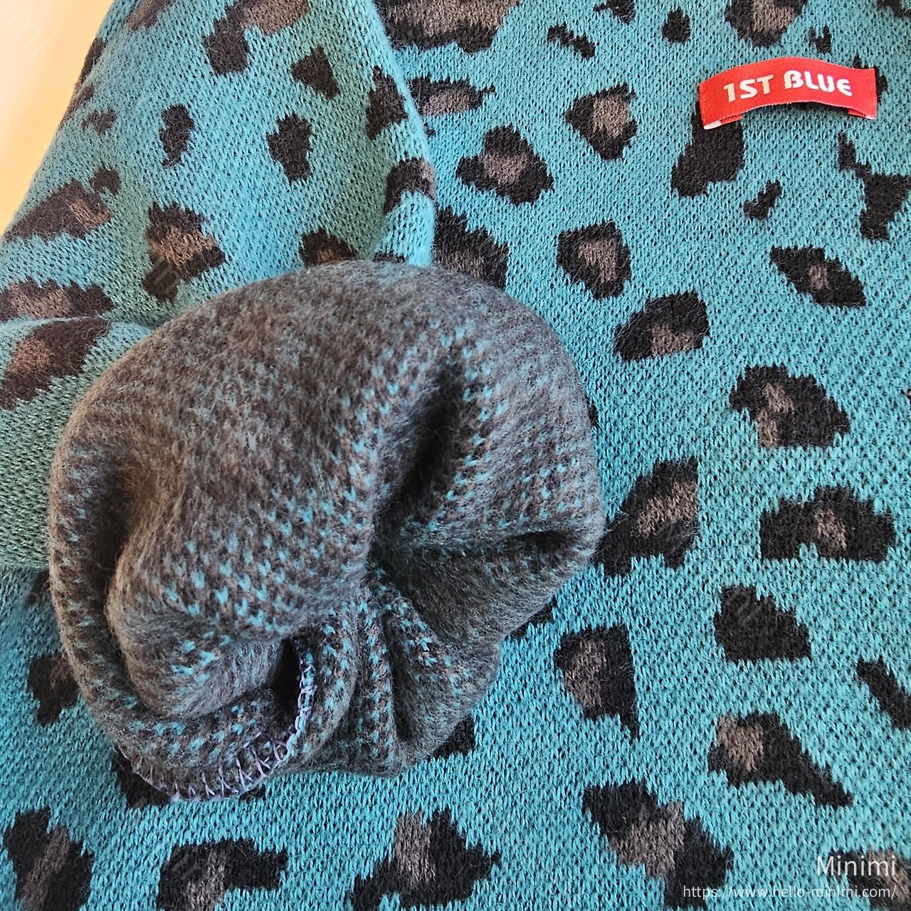 1st BLUE Leopard Cone Hoodie 細節圖 2