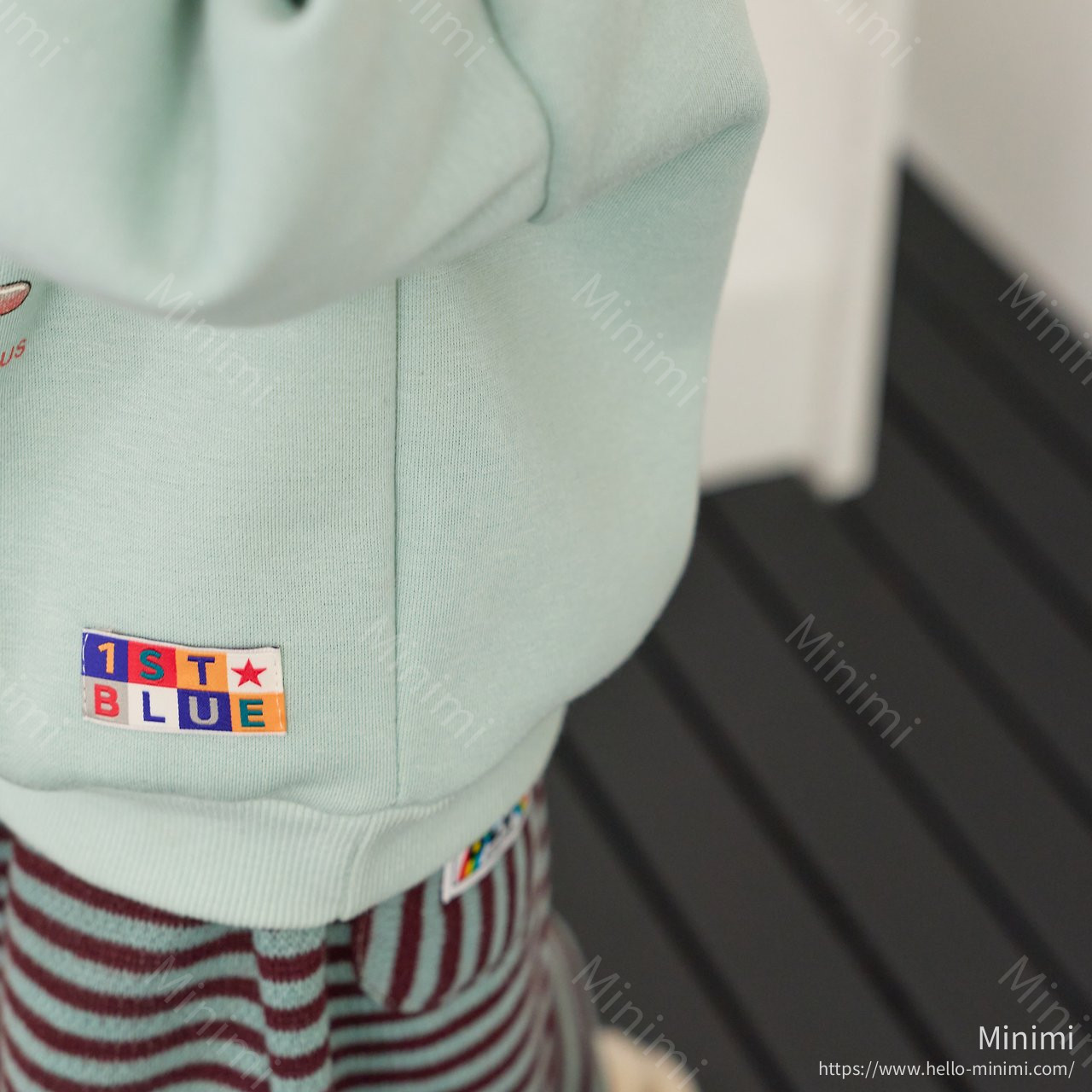 1st BLUE Balloon Dinosaur Sweatshirt 細節圖 13