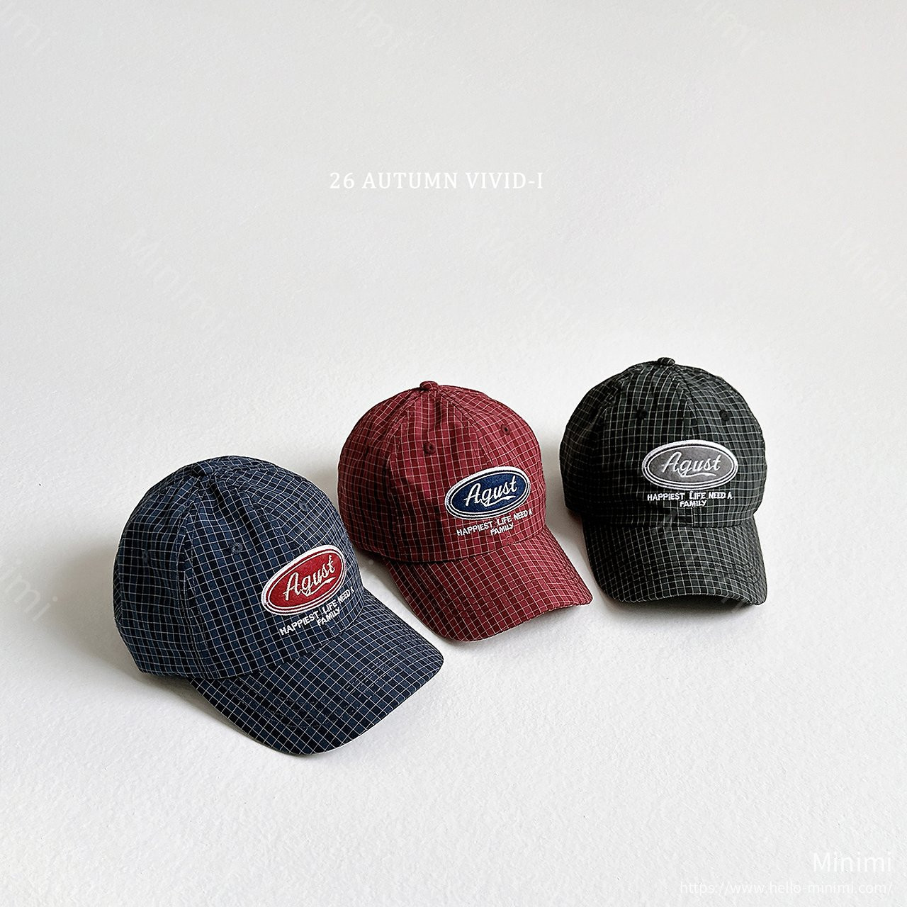 VIVID-I August Check Cap 細節圖 1