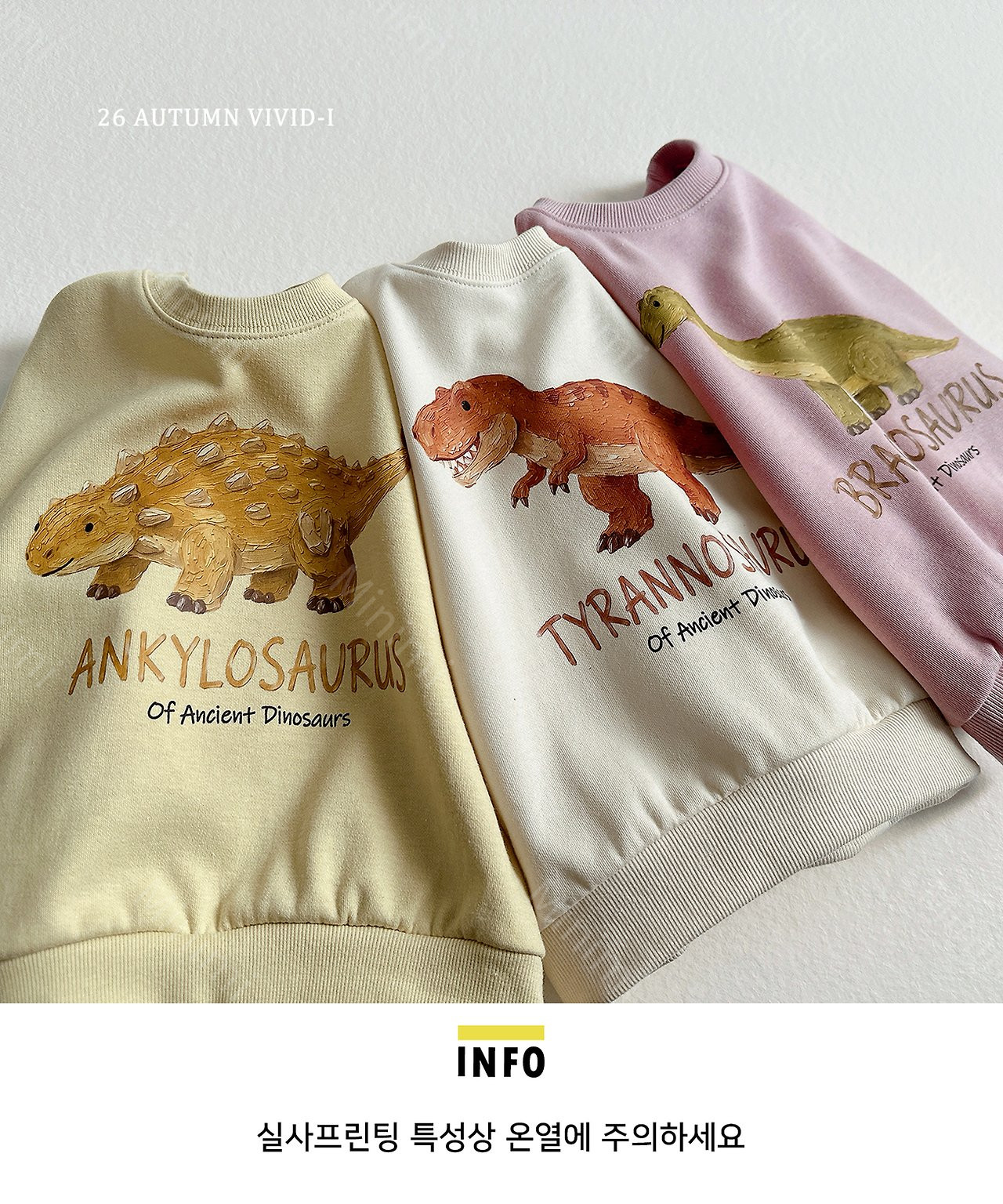VIVID-I Painting Dino Sweatshirt 細節圖 19